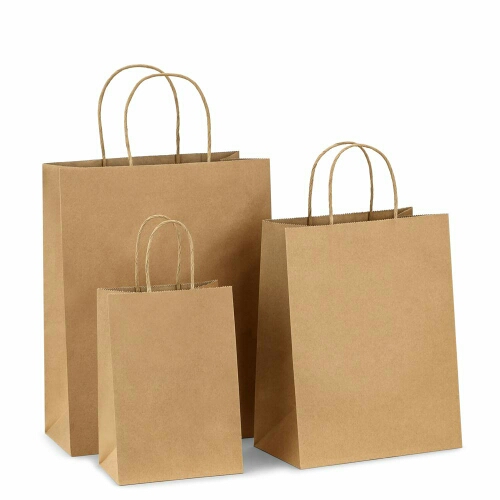Kraft Paper Bags of 9x12x3 inch size